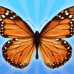 MergeButerfly: 2048!