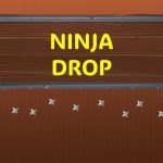 Ninja Drop