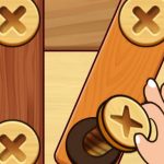 Screw Nuts Bolts: Wood Solve